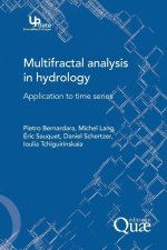 Multifractal analysis in hydrology