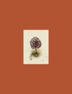 coffret ARBRES