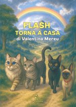 Flash torna a casa