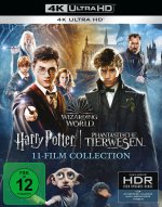 Wizarding World