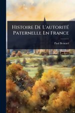 Histoire De L'autoritÃ(c) Paternelle En France