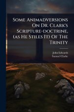 Some Animadversions On Dr. Clark's Scripture-doctrine, (as He Stiles It) Of The Trinity