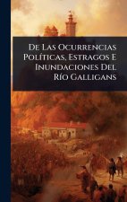 De Las Ocurrencias PolÃ-ticas, Estragos E Inundaciones Del RÃ-o Galligans