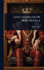 Los Caudillos De 1830, Novela