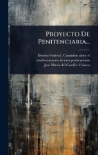 Proyecto De Penitenciaria...
