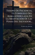 Tesoro De Paciencia, O, Consuelo Del Alma Atribulada En La MeditaciÃ3n De Las Penas Del Salvador...