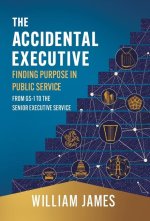 The Accidental Executive