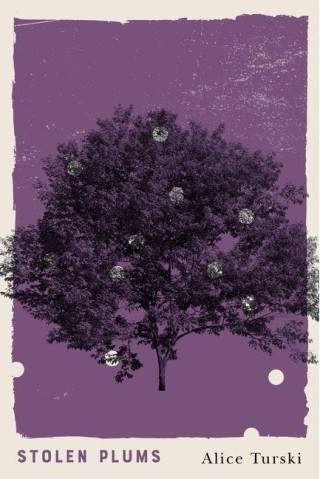 Stolen Plums