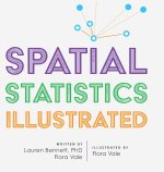 Spatial Statistics Illustrated