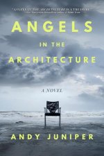 Angels in the Architecture