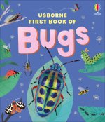 Usborne First Book of Bugs