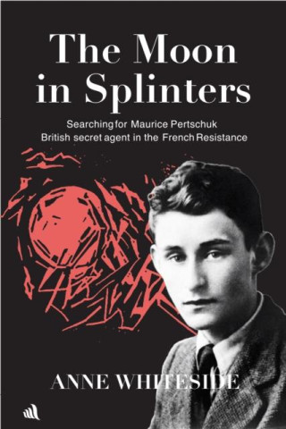 Moon in Splinters