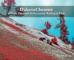 DakotaChrome