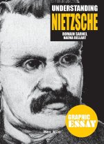 Understanding Nietzsche
