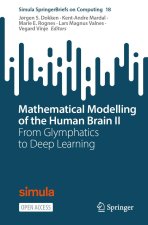 Mathematical Modelling of the Human Brain II: From Glymphatics to Deep Learning