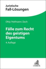 Fälle zum Recht des geistigen Eigentums