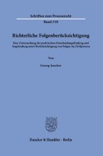 Richterliche Folgenberücksichtigung