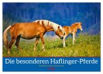 Die besonderen Haflinger-Pferde (Wandkalender 2026 DIN A4 quer), CALVENDO Monatskalender