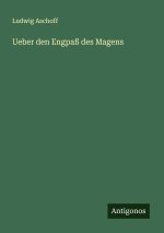Ueber den Engpaß des Magens
