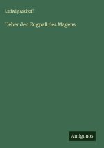 Ueber den Engpaß des Magens