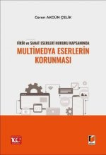 Fikir ve Sanat Eserleri Hukuku Kapsaminda Multimedya Eserlerin Korunmasi