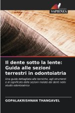 Il dente sotto la lente: Guida alle sezioni terrestri in odontoiatria