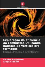 Exploração da eficiência da combustão utilizando padrões de vórtices pré-formados
