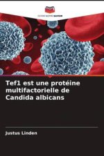 Tef1 est une protéine multifactorielle de Candida albicans