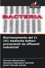 Biorisanamento del Cr (VI) mediante batteri provenienti da effluenti industriali