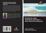 Bioattività della Gracilaria corticata e della Spirulina platensis