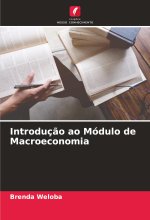 Introdução ao Módulo de Macroeconomia