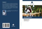 Sokela 8