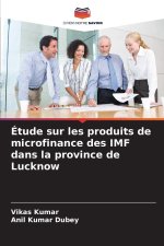 Étude sur les produits de microfinance des IMF dans la province de Lucknow