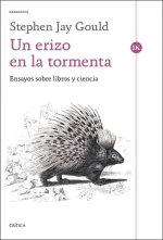 Un erizo en la tormenta