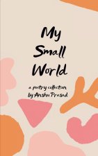 My Small World