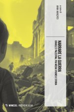 Narrare la guerra. Israele e Palestina, fra media studies e storia