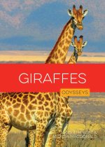 Giraffes