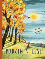 Podzim v lese