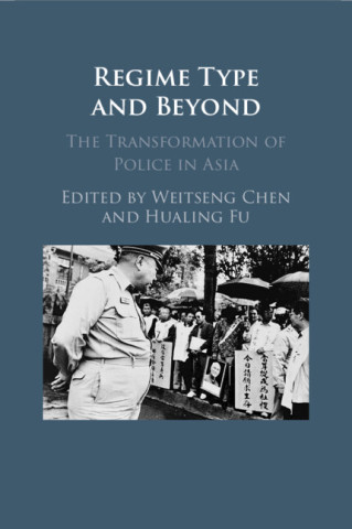Regime Type and Beyond