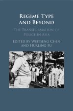 Regime Type and Beyond