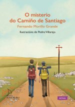 O Misterio Do CamiŃO De Santiago