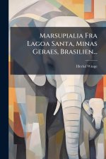 Marsupialia Fra Lagoa Santa, Minas Geraes, Brasilien...