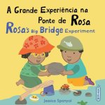 A Grande Experiência Na Ponte de Rosa / Rosa's Big Bridge Experiment