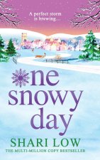 One Snowy Day