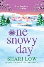 One Snowy Day