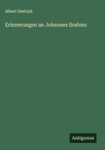 Erinnerungen an Johannes Brahms