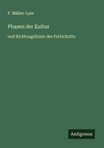 Phasen der Kultur