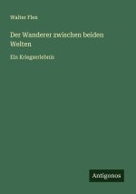 Der Wanderer zwischen beiden Welten
