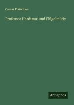 Professor Hardtmut und Flügelmüde