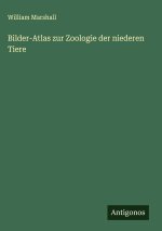Bilder-Atlas zur Zoologie der niederen Tiere